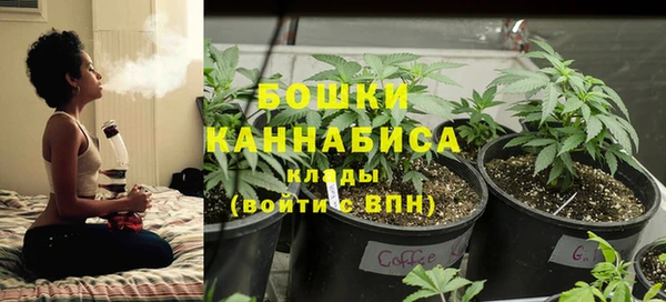 jwh Новозыбков