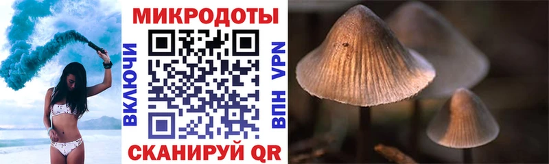 купить закладку  Торжок  Галлюциногенные грибы прущие грибы 