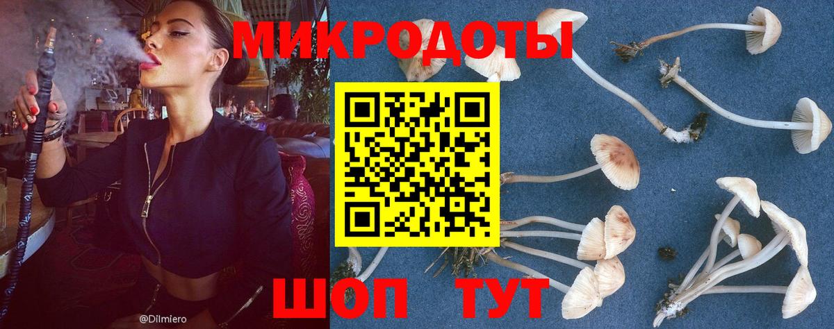 Галлюциногенные грибы Magic Shrooms  Вход с VPN  Торжок  Псилоцибиновые грибы мухоморы 