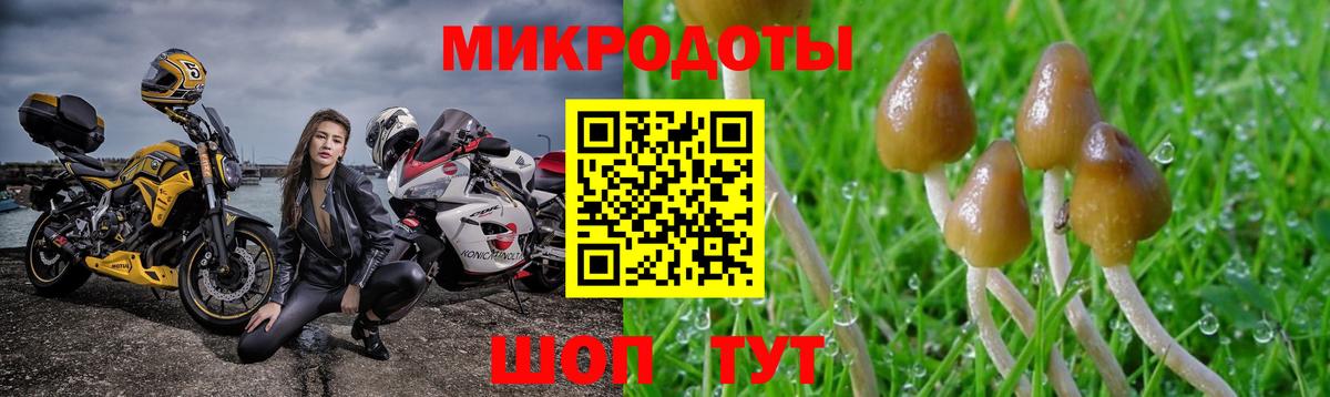 Галлюциногенные грибы MAGIC MUSHROOMS Торжок